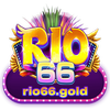 Avatar of Rio66