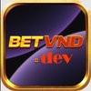 Avatar of BETVND DEV