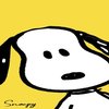 Avatar of jenson_paskey