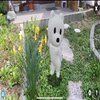 Avatar of monty