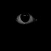 Avatar of dealleus