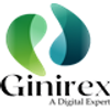 Avatar of Ginirex Digital Marketing