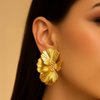 Avatar of Stud earrings for women