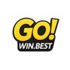 Avatar of GOWIN