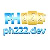 Avatar of PH222 Dev