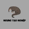 Avatar of Ngưng Tạo Nghiệp