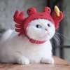 Avatar of Bai