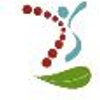 Avatar of popechiropractic
