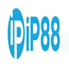 Avatar of IP88 vin