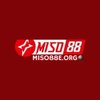 Avatar of miso88eorg