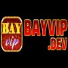 Avatar of Bayvipdev