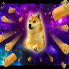 Avatar of DogeMaster