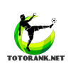Avatar of totoranknet2