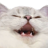 Avatar of bemore