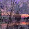 Avatar of Yann.Devos