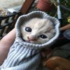 Avatar of tinselthecatofficial