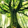 Avatar of 3rix40