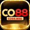 Avatar of Co88wiki