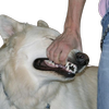 Avatar of jetteh
