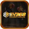 Avatar of sv368sign