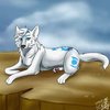 Avatar of Asia.Wolf