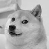 Avatar of driftdoge