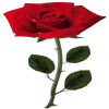 Avatar of moeezabdullah925