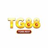 Avatar of nhà cái tg88