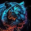 Avatar of davidnee__