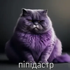 Avatar of я люблю сосать