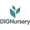 Avatar of dignursery