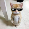 Avatar of alonLamed