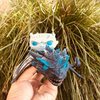 Avatar of ricklai53