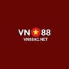 Avatar of vn88