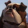 Avatar of Trashbulldogproductions