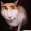Avatar of Illitinios