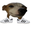 Avatar of guyguyguyguyguyguyguy