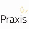 Avatar of Praxis