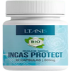 Avatar of Incasprotect