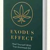 Avatar of effectprice
