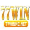 Avatar of 77Winmcnet