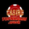 Avatar of Topnhacai Work