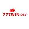 Avatar of 777win dev