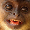 Avatar of harry324235