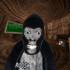 Avatar of roosa