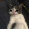 Avatar of BubbaGN
