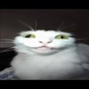 Avatar of KET
