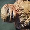 Avatar of ilarra