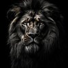 Avatar of sambath_3d_artist