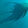 Avatar of JakeModeler